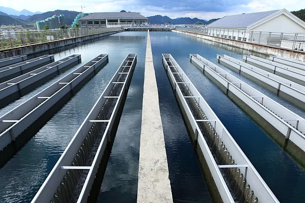 1741071979154255.jpg 自來(lái)水廠.jpg